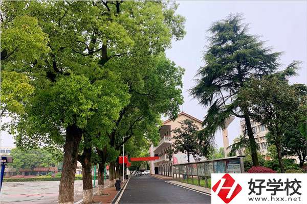 想在益陽學(xué)機械制造專業(yè)，哪個學(xué)校比較好？