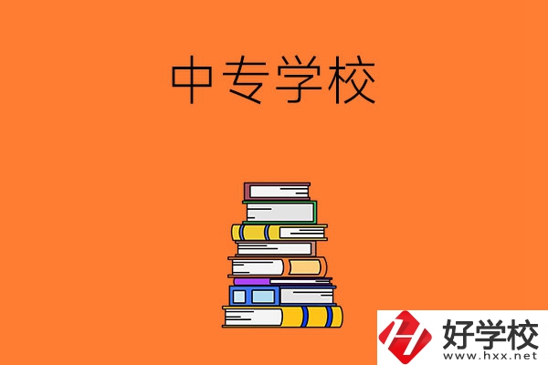 懷化市有哪些公立的中專學(xué)校？