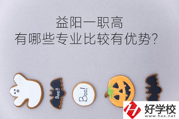 益陽一職高有哪些專業(yè)比較有優(yōu)勢？