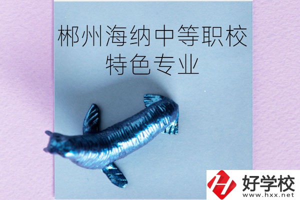 郴州海納中等職業(yè)技術(shù)學(xué)校有些什么特色專業(yè)？
