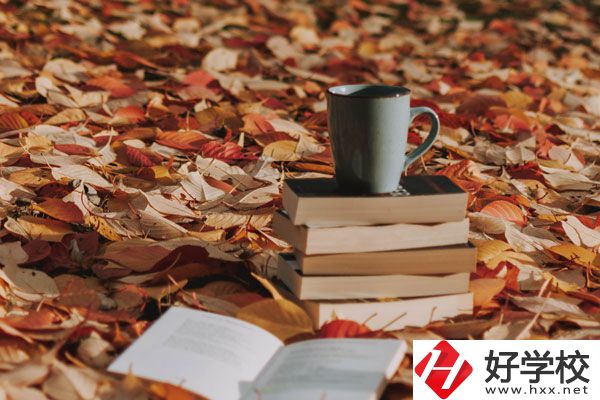 中方縣職業(yè)中等專業(yè)學(xué)校有什么專業(yè)？好不好？