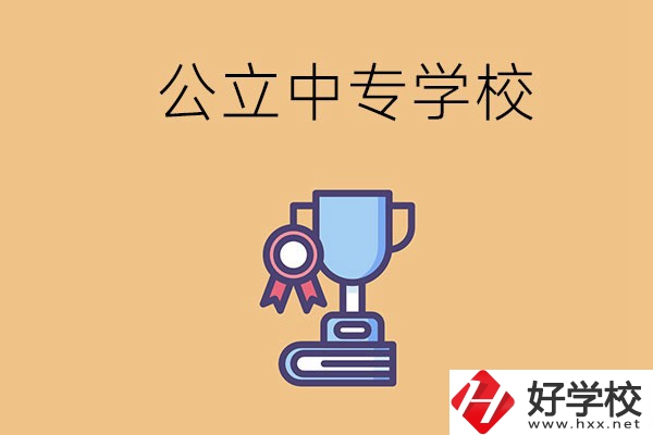 常德的公立中專(zhuān)學(xué)校有哪些？有什么特色？