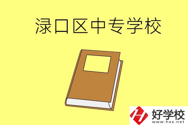 株洲縣淥口區(qū)有什么中專學(xué)校？