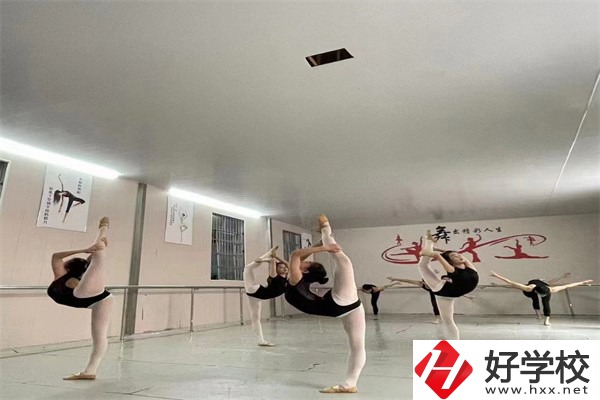 懷化市大鑫藝術(shù)職業(yè)學(xué)校是公辦嗎？學(xué)費(fèi)是多少？