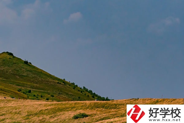 想在常德學(xué)動(dòng)漫設(shè)計(jì)專業(yè)，有合適的學(xué)校嗎？