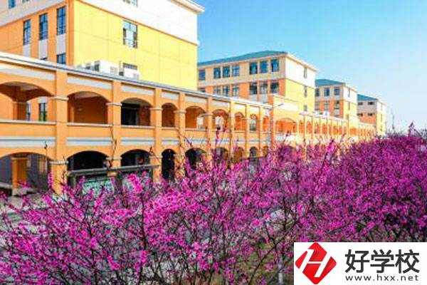 湖南省隆回縣職業(yè)中等專業(yè)學(xué)校有哪些辦學(xué)特色？