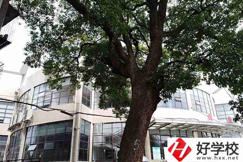 衡陽排名前三的職業(yè)學(xué)校你知道有哪幾所？