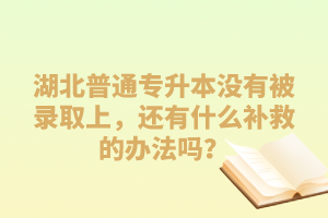 湖北普通專升本沒(méi)有被錄取上，還有什么補(bǔ)救的辦法嗎？