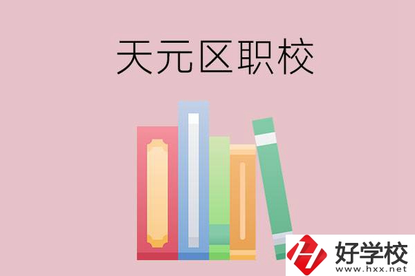 株洲市天元區(qū)的職校有哪幾所？