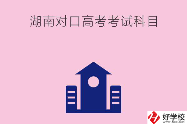 湖南中職生對口高考考試科目都有哪些？考試難不難？