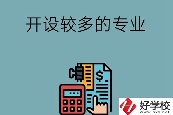 湖南的中職學(xué)校開設(shè)較多的專業(yè)是哪些？