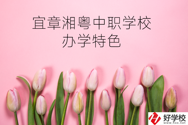 宜章湘粵中職學校在哪？有什么辦學特色？