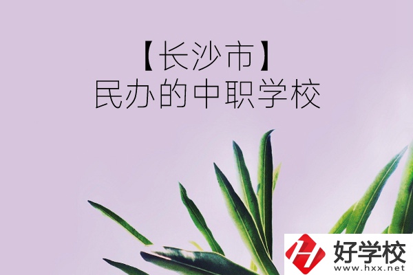 長(zhǎng)沙市有哪些民辦的中職學(xué)校？