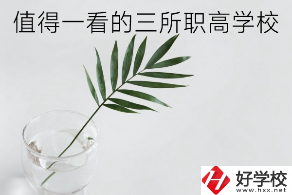 湖南有什么好的職高學(xué)校？這3所學(xué)校值得一看！