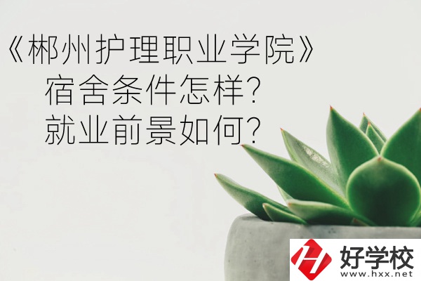 郴州護(hù)理職業(yè)學(xué)院宿舍條件怎樣？就業(yè)前景如何？