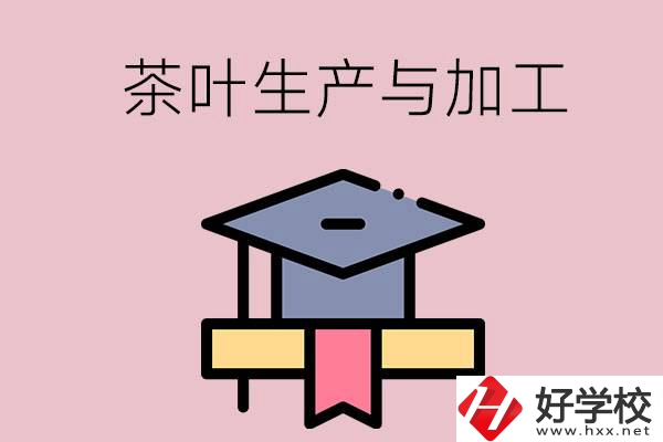 湖南哪些技校開設(shè)了茶葉生產(chǎn)與加工專業(yè)？