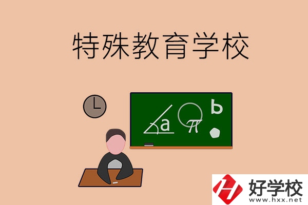 湖南省有哪些特殊教育學(xué)校？