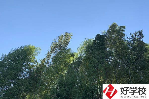 張家界協(xié)力技工學(xué)校好不好？就業(yè)前景怎么樣？