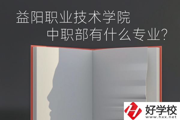 益陽(yáng)職業(yè)技術(shù)學(xué)院中職部有什么專業(yè)？