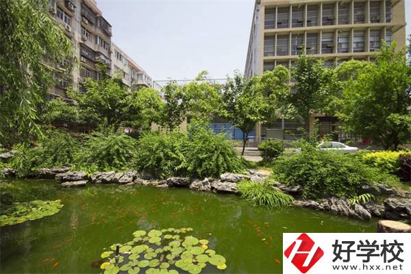 湖南有免學(xué)費(fèi)的技校嗎？學(xué)什么專業(yè)比較好？