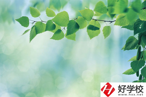 永州工商職業(yè)中等專業(yè)學(xué)校哪些是特色專業(yè)？好就業(yè)嗎？