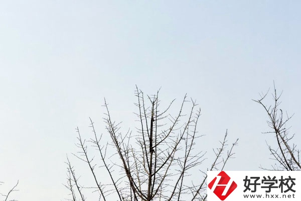 益陽第一職業(yè)中專學校怎么樣？值得報考嗎?