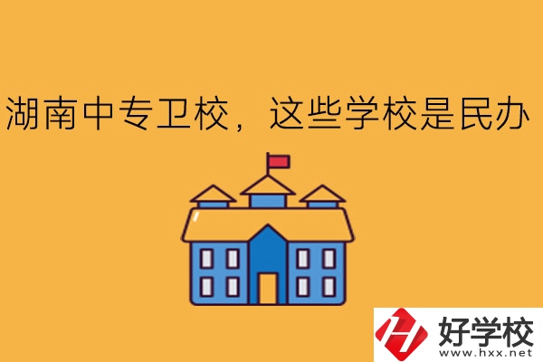 湖南中專衛(wèi)校，這些學(xué)校是民辦!