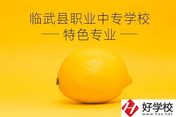 臨武縣職業(yè)中專學校好嗎？有哪些特色專業(yè)？