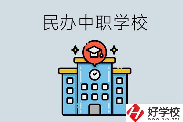 婁底新化縣的民辦中職學(xué)校一共有多少所？