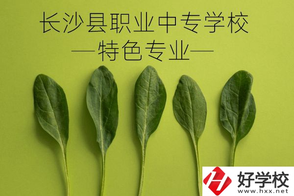 長(zhǎng)沙縣職業(yè)中專學(xué)校怎么樣？有什么特色專業(yè)？