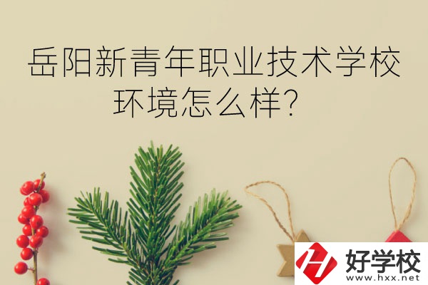 岳陽新青年職業(yè)技術(shù)學(xué)校好不好？環(huán)境怎么樣？
