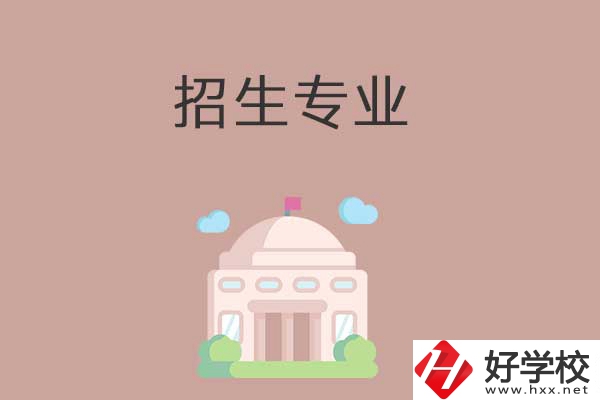 益陽有哪些高職院校設立了中職部？招生專業(yè)有哪些？