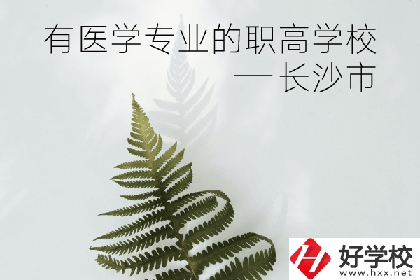 長沙市哪些職高學校有醫(yī)學專業(yè)？