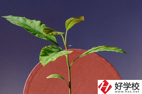株洲市工業(yè)中等專校怎么樣？好不好？
