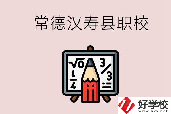 常德的漢壽縣有什么職校？是公辦的嗎？