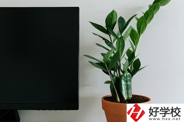 岳陽(yáng)市網(wǎng)絡(luò)工程職業(yè)技術(shù)學(xué)校有哪些熱門專業(yè)？