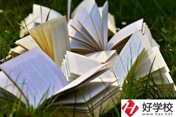 中方縣職業(yè)中等專業(yè)學(xué)校有什么專業(yè)？好不好？