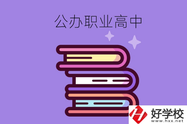 長沙市有哪些公辦職業(yè)高中學(xué)校？