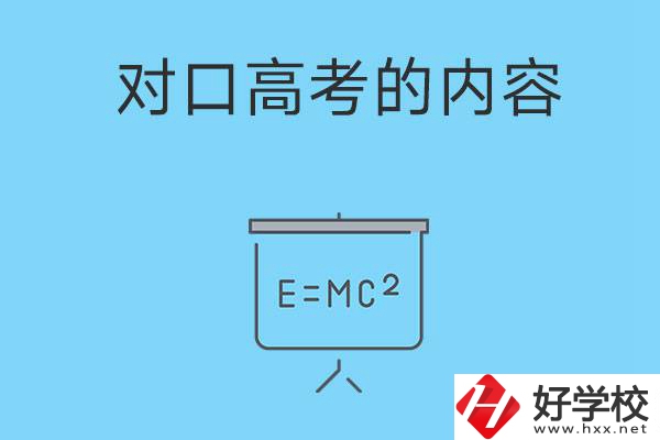湖南職高對(duì)口高考主要考什么內(nèi)容？難度大不大？