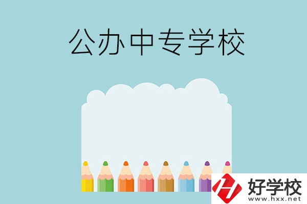 湖南地區(qū)有哪些公辦的中專學(xué)?？梢酝扑]呢？
