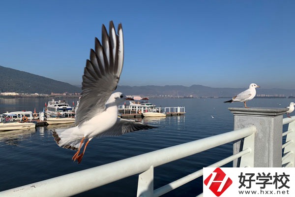 準(zhǔn)備讀中專，衡陽縣職業(yè)中專好不好？