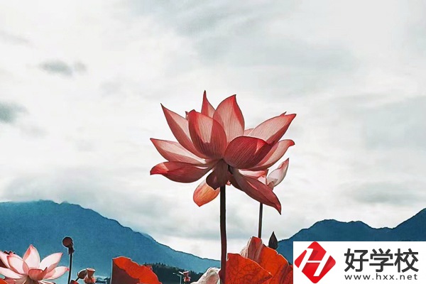 隆回華星職業(yè)技術(shù)學(xué)校有哪些專業(yè)？值得學(xué)生報考么？