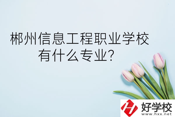 郴州信息工程職業(yè)學校有什么專業(yè)？