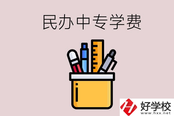 湘潭的民辦中專學校學費多少錢一年？