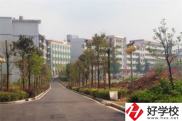 益陽有哪些高級技校？學校有什么亮點？