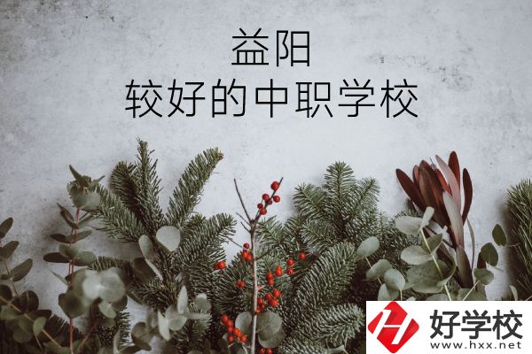 益陽有哪些中職學(xué)校比較好？