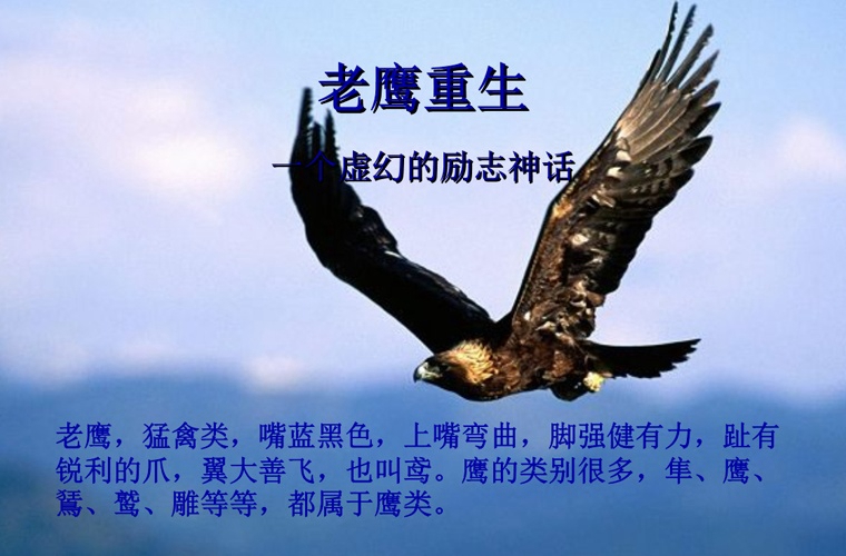 2025甘肅排名前三的民辦數(shù)控學(xué)校名單