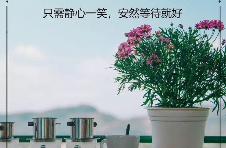 當(dāng)今會(huì)計(jì)專(zhuān)業(yè)的就業(yè)前景怎樣?發(fā)展方向是什么?