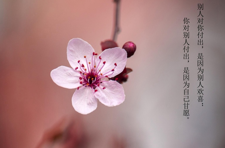 北京鐵路電氣化學(xué)校怎么樣