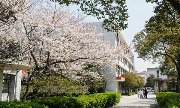 2025安徽排名前三的公辦旅游學校名單